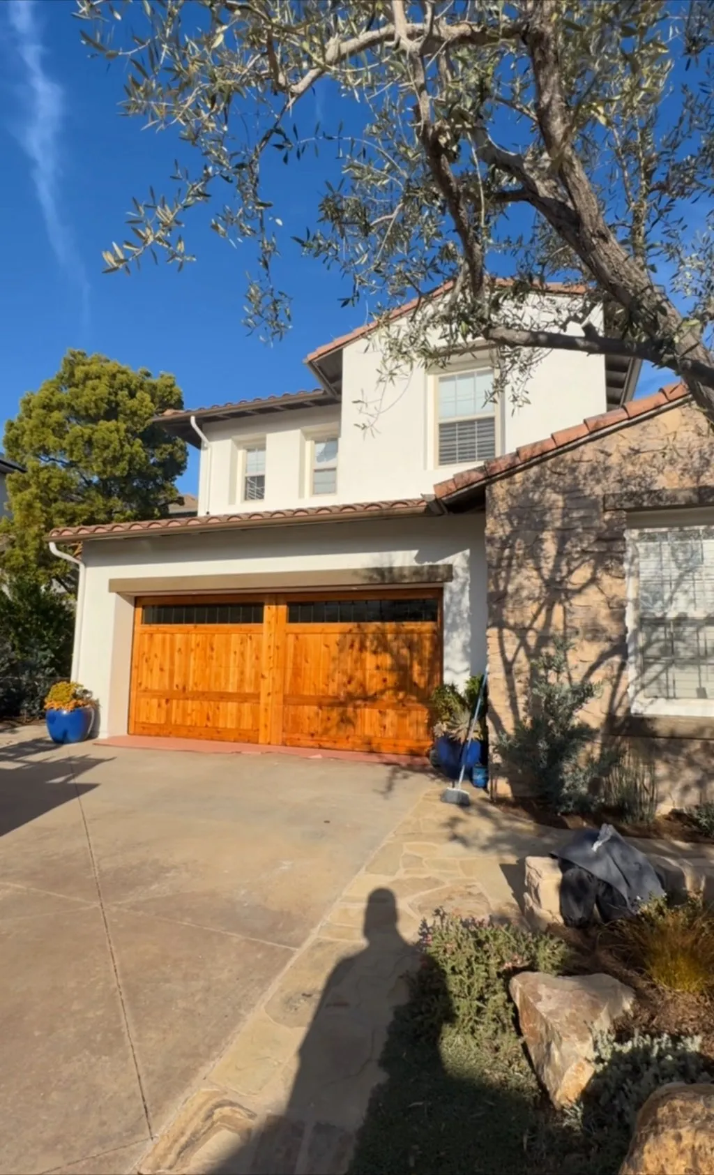 Cream stucco home with wood garage doors, olive tree, and landscaped driveway